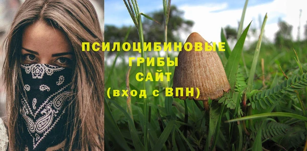 а пвп мука Арсеньев
