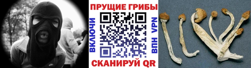 Галлюциногенные грибы GOLDEN TEACHER  где можно купить   Бугуруслан 